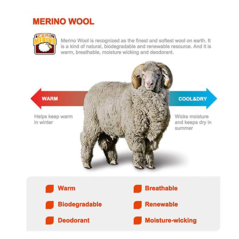 ZEALWOOD piesze wycieczki Trek – Thermal Sock Merino recenzja i cena